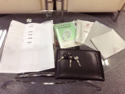 ポルシェ 911(Type993) カレラ　エアロバージョン限定車　6MT