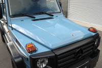 メルセデスベンツ Gクラス 350Dプロフェッショナル　リミテッドエディション