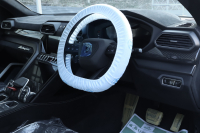 ランボルギーニ ウルス ペルフォルマンテ